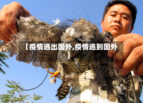 【疫情逃出国外,疫情逃到国外】-第3张图片