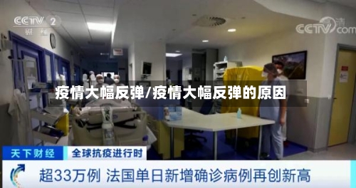 疫情大幅反弹/疫情大幅反弹的原因