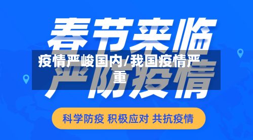 疫情严峻国内/我国疫情严重
