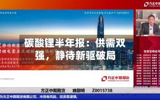 碳酸锂半年报：供需双强	，静待新驱破局-第2张图片
