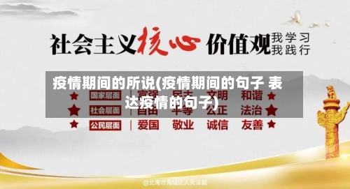 疫情期间的所说(疫情期间的句子 表达疫情的句子)