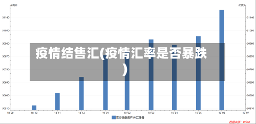 疫情结售汇(疫情汇率是否暴跌)-第2张图片