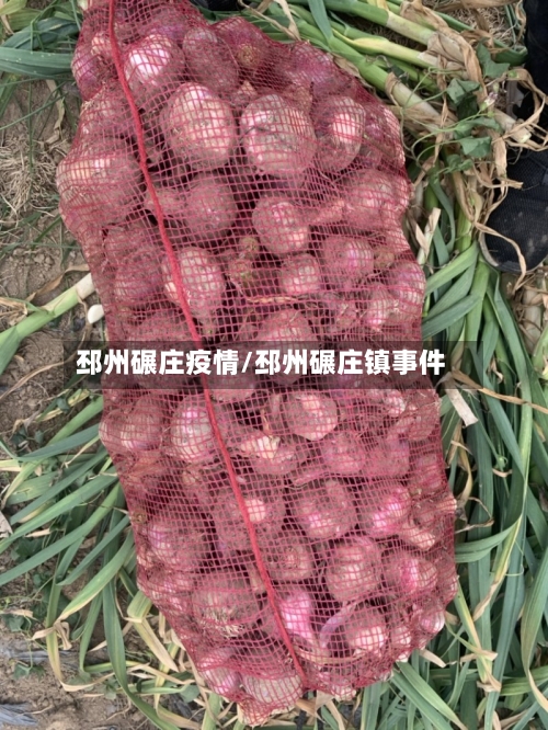 邳州碾庄疫情/邳州碾庄镇事件-第2张图片