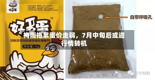 梅雨拖累蛋价走弱	，7月中旬后或迎行情转机-第2张图片