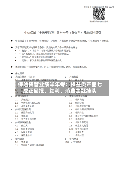 保险资管业绩半年考：权益类产品七成正回报，红利、消费主题掉队-第2张图片
