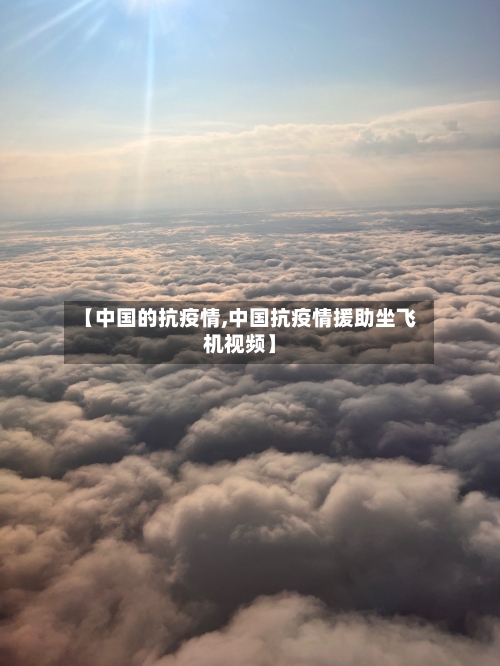 【中国的抗疫情,中国抗疫情援助坐飞机视频】