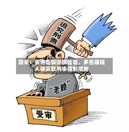 蔚来：编造虚假促销信息，多名嫌疑人被采取刑事强制措施-第2张图片