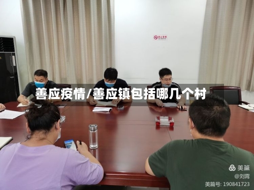 善应疫情/善应镇包括哪几个村