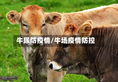 牛尿防疫情/牛场疫情防控