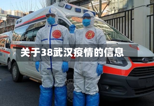 关于38武汉疫情的信息-第2张图片