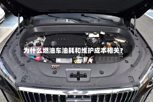 为什么燃油车油耗和维护成本相关？