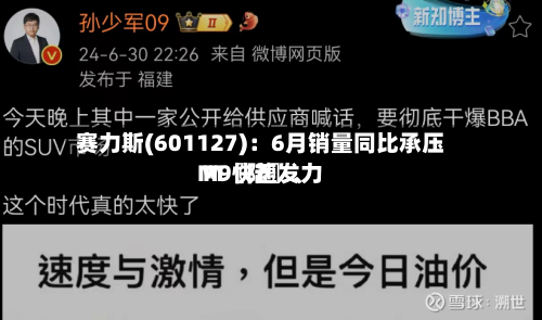 赛力斯(601127)：6月销量同比承压 M〖陆〗、M9快速发力-第2张图片