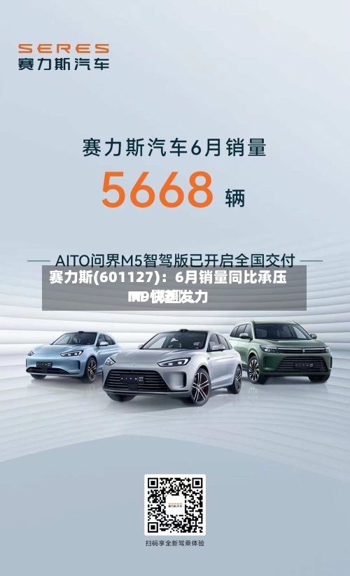 赛力斯(601127)：6月销量同比承压 M〖陆〗、M9快速发力-第3张图片