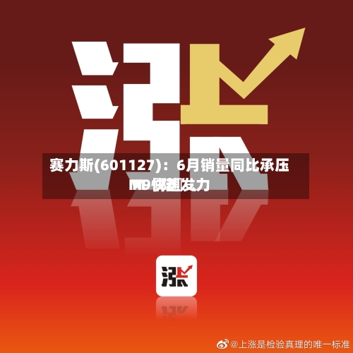 赛力斯(601127)：6月销量同比承压 M〖陆〗、M9快速发力-第2张图片