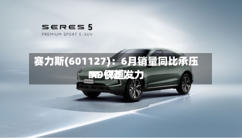 赛力斯(601127)：6月销量同比承压 M〖陆〗、M9快速发力-第2张图片