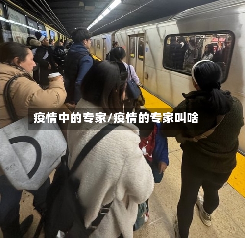 疫情中的专家/疫情的专家叫啥-第2张图片