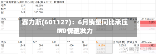赛力斯(601127)：6月销量同比承压 M〖陆〗	、M9快速发力-第2张图片