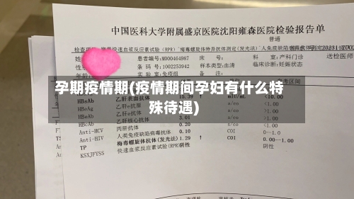 孕期疫情期(疫情期间孕妇有什么特殊待遇)-第2张图片