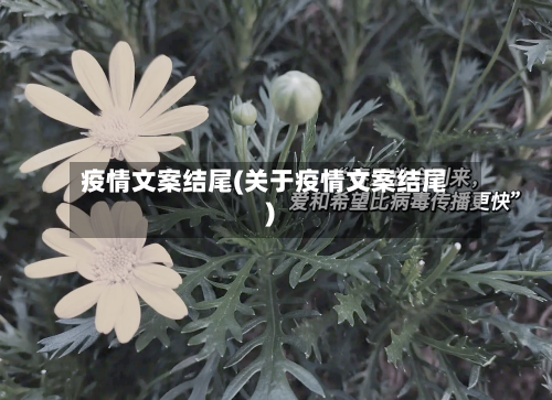 疫情文案结尾(关于疫情文案结尾)