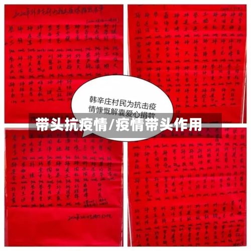 带头抗疫情/疫情带头作用