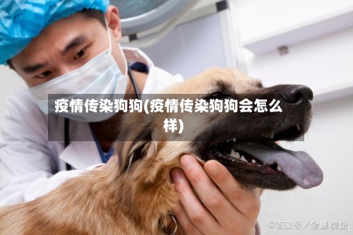 疫情传染狗狗(疫情传染狗狗会怎么样)-第2张图片