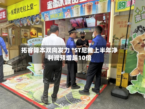 拓客降本双向发力 *ST尼雅上半年净利润预增超10倍-第2张图片