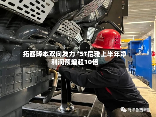 拓客降本双向发力 *ST尼雅上半年净利润预增超10倍