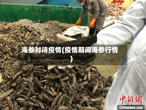 海参对待疫情(疫情期间海参行情)