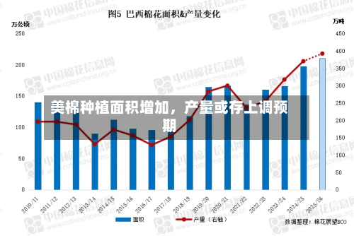 美棉种植面积增加	，产量或存上调预期-第3张图片