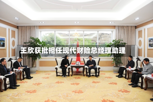 王欣获批担任现代财险总经理助理