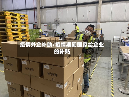 疫情外企补助/疫情期间国家给企业的补贴