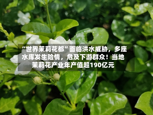 “世界茉莉花都”面临洪水威胁，多座水库发生险情，危及下游群众！当地茉莉花产业年产值超190亿元-第2张图片