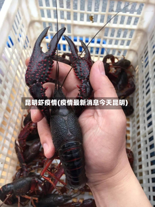 昆明虾疫情(疫情最新消息今天昆明)-第2张图片