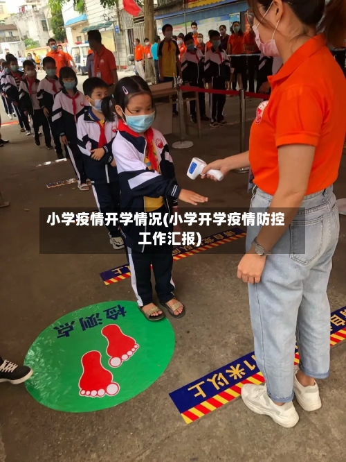 小学疫情开学情况(小学开学疫情防控工作汇报)