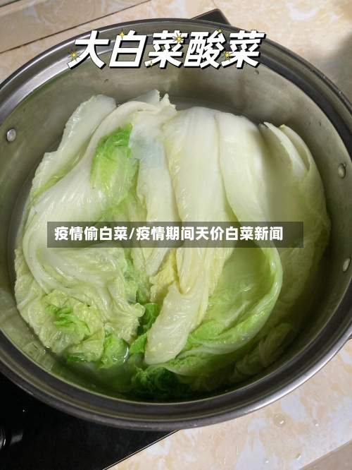 疫情偷白菜/疫情期间天价白菜新闻