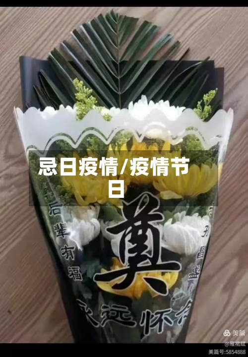 忌日疫情/疫情节日-第2张图片