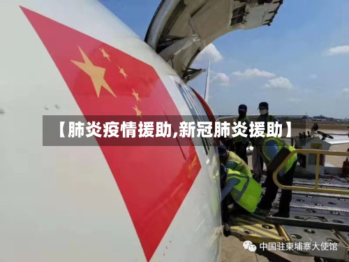 【肺炎疫情援助,新冠肺炎援助】-第2张图片