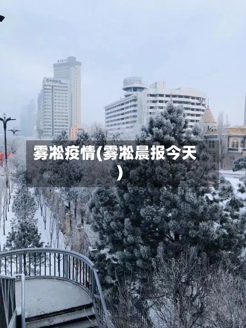 雾凇疫情(雾凇晨报今天)-第3张图片