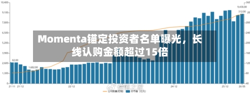 Momenta锚定投资者名单曝光，长线认购金额超过15倍-第2张图片