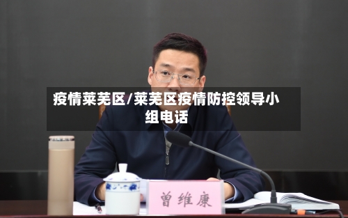 疫情莱芜区/莱芜区疫情防控领导小组电话
