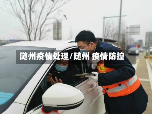 随州疫情处理/随州 疫情防控-第2张图片