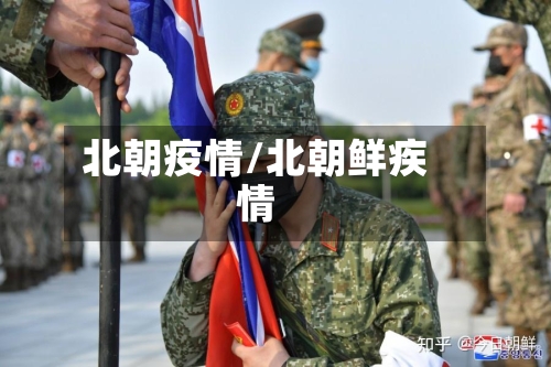 北朝疫情/北朝鲜疾情-第2张图片