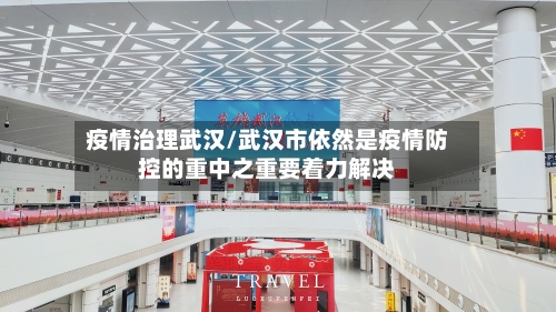 疫情治理武汉/武汉市依然是疫情防控的重中之重要着力解决-第2张图片