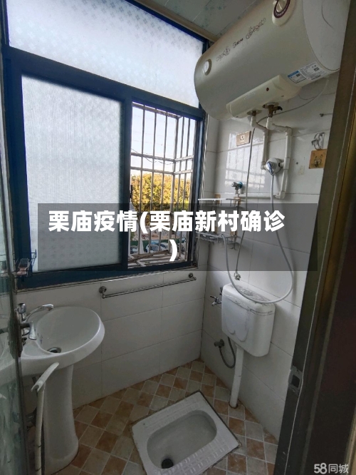 栗庙疫情(栗庙新村确诊)-第2张图片