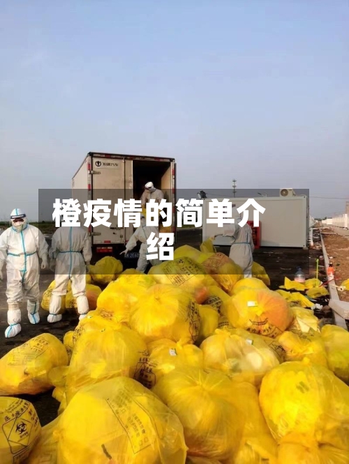 橙疫情的简单介绍-第3张图片