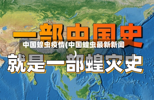 中国蝗虫疫情(中国蝗虫最新新闻)-第2张图片