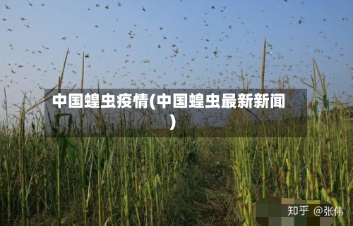 中国蝗虫疫情(中国蝗虫最新新闻)-第3张图片