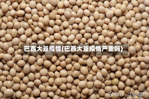 巴西大豆疫情(巴西大豆疫情严重吗)-第3张图片