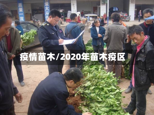 疫情苗木/2020年苗木疫区-第3张图片