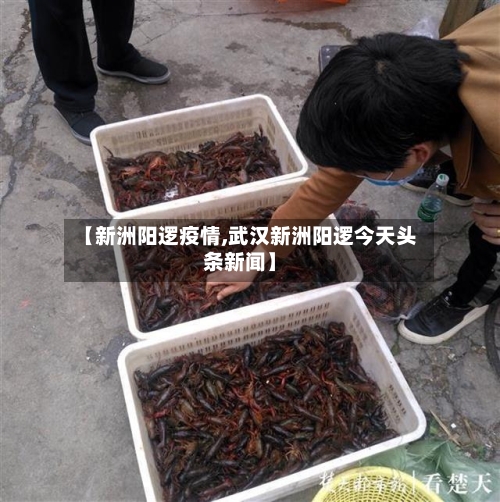 【新洲阳逻疫情,武汉新洲阳逻今天头条新闻】-第3张图片